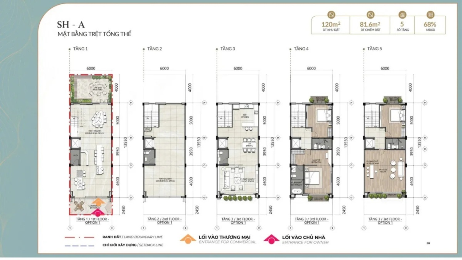 Mặt bằng tầng điển hình chung cư Alluvia City