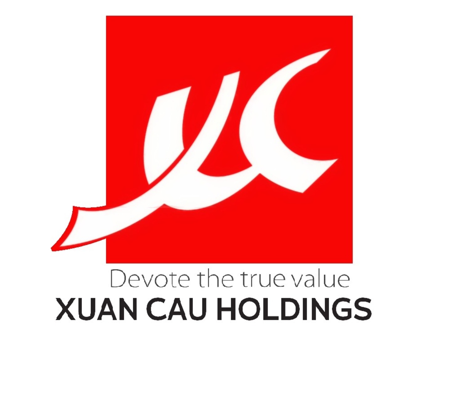 Giới thiệu chung về chủ đầu tư Xuân Cầu Holdings
